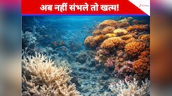 समुद्र में मचने वाली है बड़ी तबाही! 2026 के लिए वैज्ञानिकों ने दी चेतावनी, बोले... 