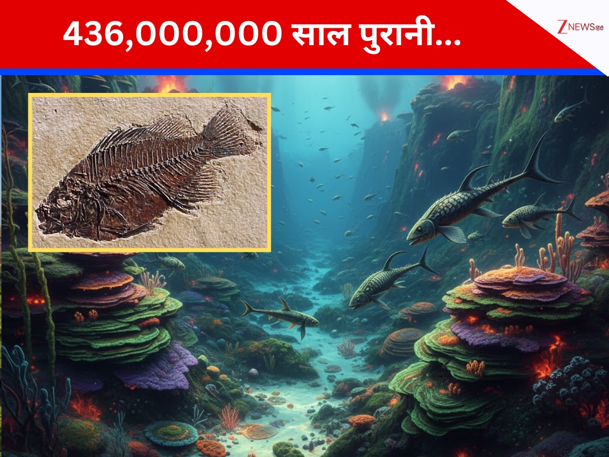 china ancient fossil jawed vertebrates discovery evolution of jaws ...