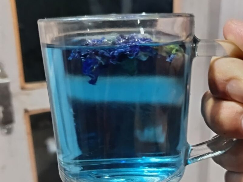 blue tea recipe how to make blue tea aparajita tea Butterfly pea flower ...