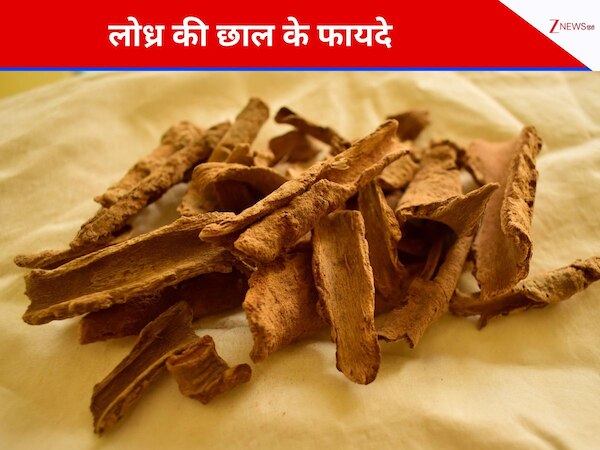 lodhra benefits for females problem from ayurveda | महिलाओं के लिए किसी ...