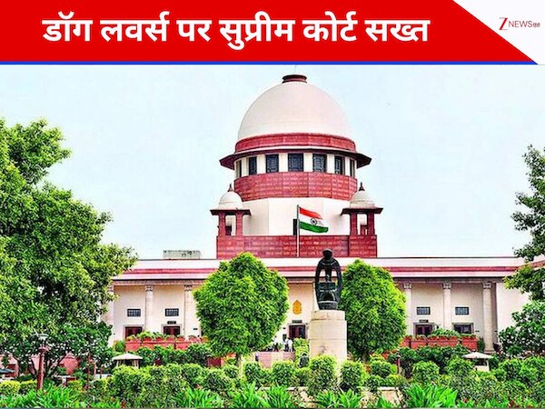 DNA: भारत में स्ट्रे डॉग संकट पर सुप्रीम कोर्ट अलर्ट, भारत में 9 करोड़ 50 लाख कुत्ते; खतरे में आम आदमी ?