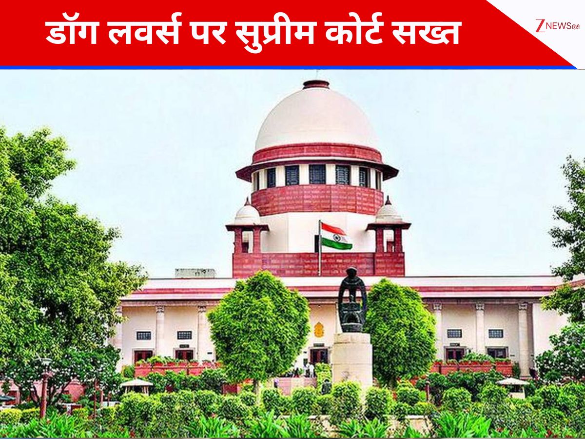 DNA: भारत में स्ट्रे डॉग संकट पर सुप्रीम कोर्ट अलर्ट, भारत में 9 करोड़ 50 लाख कुत्ते; खतरे में आम आदमी ? DNA: भारत में स्ट्रे डॉग संकट पर सुप्रीम कोर्ट अलर्ट, भारत में 9 करोड़ 50 लाख कुत्ते; खतरे में आम आदमी ?