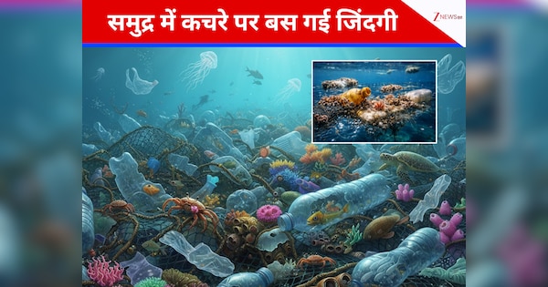 Great pacific garbage patch plastic pollution becoming home for marine