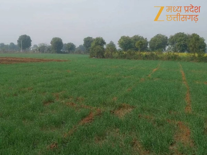 weather will change in madhya pradesh and winter rains fall benefit ...