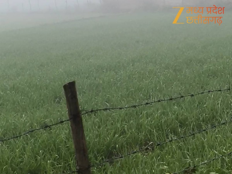 weather will change in madhya pradesh and winter rains fall benefit ...