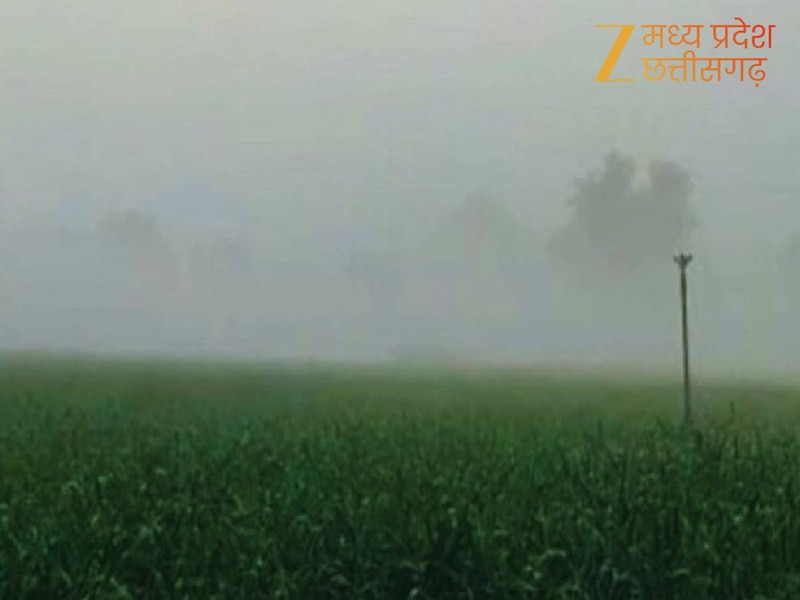 weather will change in madhya pradesh and winter rains fall benefit ...