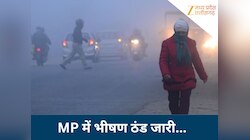 ठंड से कांप रहा MP, शीतलहर-कोहरे का अलर्ट जारी, ग्वालियर से भोपाल तक सब ठंडा