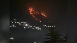 तपोवन के जंगलों में भड़की आग, बाजार के पास पहुंची लपटें; अब हेलिकॉप्टर से आस