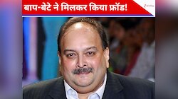 मेहुल चोकसी का बेटा भी मनी लॉन्ड्रिंग में था शामिल, 8 साल बाद ED का बड़ा दावा
