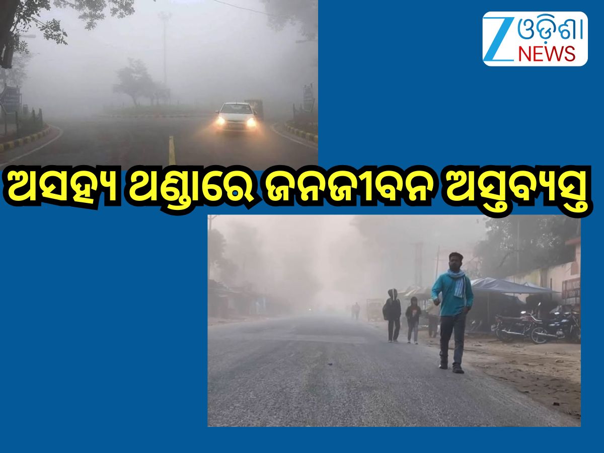 Odisha Weather Update: ରାଜ୍ୟରେ ଜାରି ରହିଛି ଶୀତର ଲହରୀ,ଘନ କୁହୁଡ଼ି ନେଇ ଏହିସବୁ ଜିଲ୍ଲାକୁ ୟେଲୋ ଆଲର୍ଟ! Odisha Weather Update: ରାଜ୍ୟରେ ଜାରି ରହିଛି ଶୀତର ଲହରୀ,ଘନ କୁହୁଡ଼ି ନେଇ ଏହିସବୁ ଜିଲ୍ଲାକୁ ୟେଲୋ ଆଲର୍ଟ!