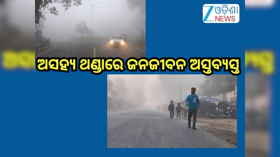 Odisha Weather Update: ରାଜ୍ୟରେ ଜାରି ରହିଛି ଶୀତର ଲହରୀ,ଘନ କୁହୁଡ଼ି ନେଇ ଏହିସବୁ ଜିଲ୍ଲାକୁ ୟେଲୋ ଆଲର୍ଟ!