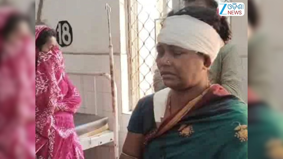 Odisha News: ସ୍ବାମୀର ଆକ୍ରମଣରେ  ସ୍ତ୍ରୀ ଗୁରୁତର, ପୋଲିସର ଛାନଭିନ୍ ଜାରି
