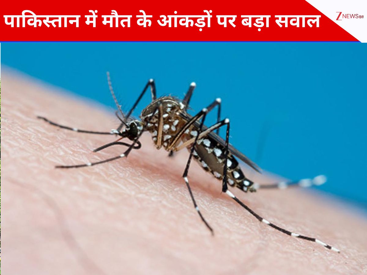 पाकिस्तान के सिंध प्रांत में डेंगू-मलेरिया से 103 की मौत, शहबाज सरकार के झूठ पर मीडिया ने खोल दी पोल