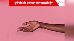 कठोर कोमल या बड़ी... हथेली की बनावट से जानें किसी व्यक्ति के गहरे रहस्य