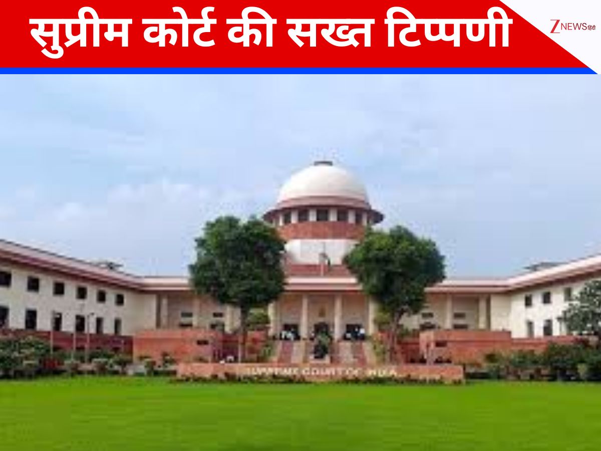 आवारा कुत्तों का मामला, SC ने मेनका गांधी को लगाई फटकार, पूछा- मंत्री रहते खुद क्या किया? आवारा कुत्तों का मामला, SC ने मेनका गांधी को लगाई फटकार, पूछा- मंत्री रहते खुद क्या किया?