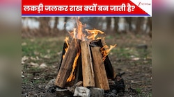 1 किलो सूखी लकड़ी जलाने पर कितनी राख बचेगी? जीनियस भी नहीं दे पाए जवाब, आप बताओ