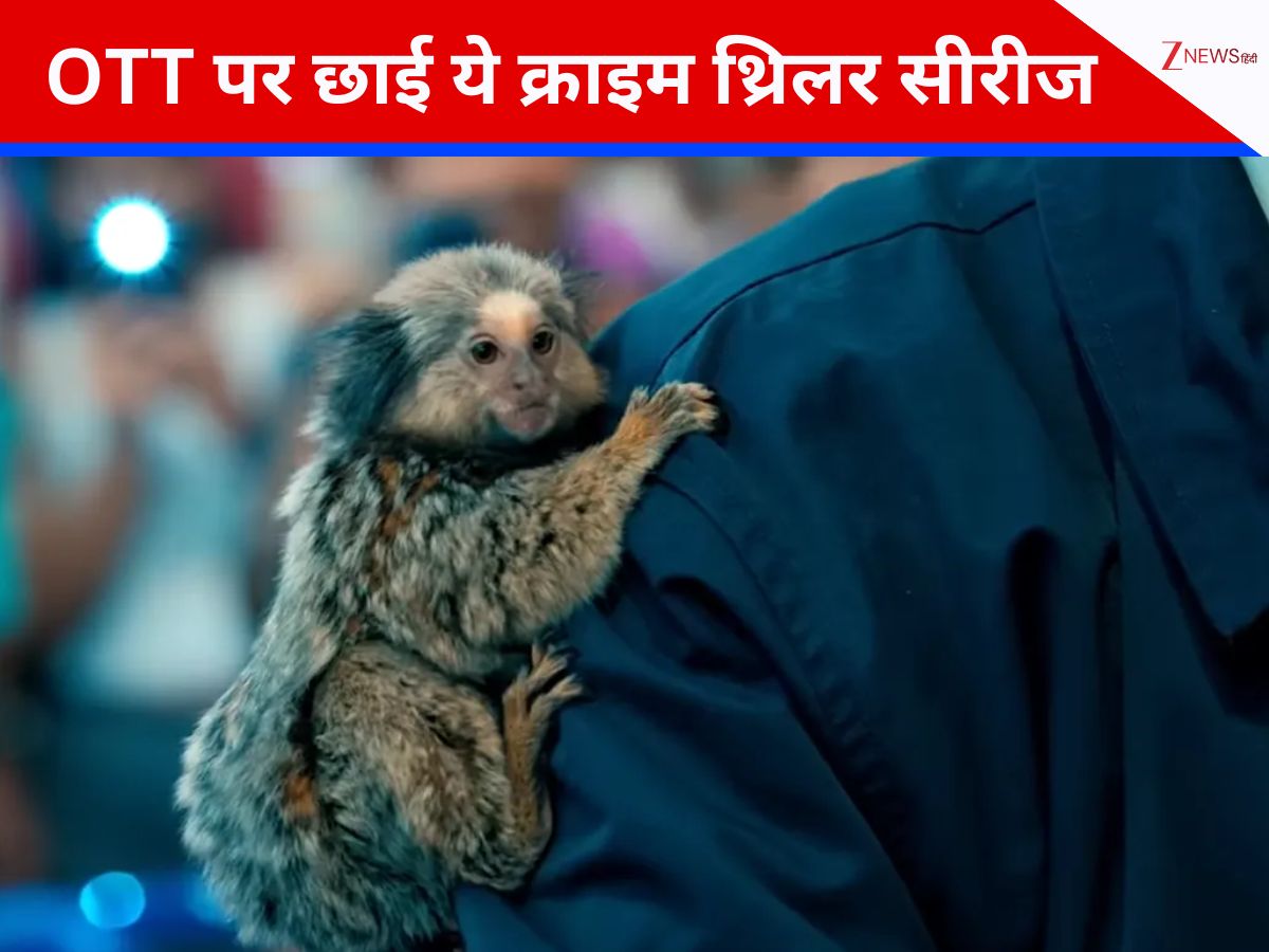 7 एपिसोड की धांसू क्राइम थ्रिलर सीरीज, नेटफ्लिक्स पर नंबर 1 पर कर रही ट्रेंड, दुनियाभर में लूटी महफिल, सबको पछाड़ रचा इतिहास 7 एपिसोड की धांसू क्राइम थ्रिलर सीरीज, नेटफ्लिक्स पर नंबर 1 पर कर रही ट्रेंड, दुनियाभर में लूटी महफिल, सबको पछाड़ रचा इतिहास