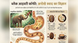 हाथी की पॉटी वाली कॉफी क्या आप पिएंगे? वैज्ञानिकों ने ढूंढ निकाली असली वजह