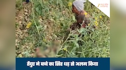 7 साल के मासूम को उठा ले गया तेंदुआ, सिर और धड़ अलग-अलग मिले, इलाके में दहशत