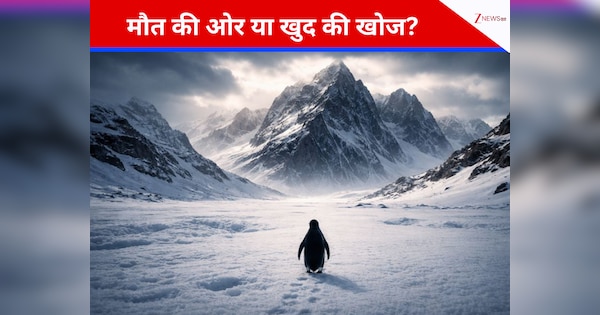 मौत की ओर या खुद की खोज? ग्रुप छोड़ पहाड़ों की तरफ अकेले क्यों निकल पड़ा ये पेंगुइन, वायरल वीडियो के पीछे का खौफनाक सच!