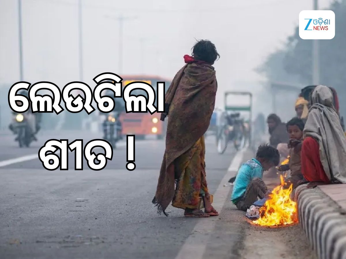Weather Update: ଲେଉଟିଲା ଶୀତ: ଉତ୍ତର ଭାରତରେ ବଢିବ ଶୀତ ଲହରୀ, ଘନ କୁହୁଡିକୁ ନେଇ ପାଣିପାଗ ବିଭାଗର ସତର୍କ ସୂଚନା Weather Update: ଲେଉଟିଲା ଶୀତ: ଉତ୍ତର ଭାରତରେ ବଢିବ ଶୀତ ଲହରୀ, ଘନ କୁହୁଡିକୁ ନେଇ ପାଣିପାଗ ବିଭାଗର ସତର୍କ ସୂଚନା