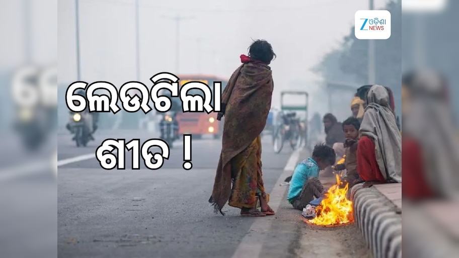 Weather Update: ଲେଉଟିଲା ଶୀତ: ଉତ୍ତର ଭାରତରେ ବଢିବ ଶୀତ ଲହରୀ, ଘନ କୁହୁଡିକୁ ନେଇ ପାଣିପାଗ ବିଭାଗର ସତର୍କ ସୂଚନା