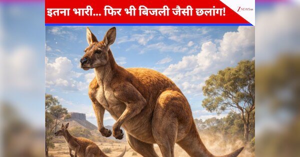 science study reveals that ancient kangaroo can jump high despite 250 ...