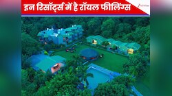 जिम कॉर्बेट से लेकर हिमालय की चोटियों तक! इन रिसॉर्ट्स में मिलती है रॉयल फीलिंग्स