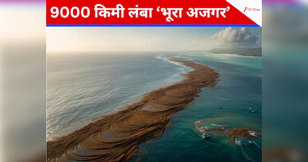 https://hindi.cdn.zeenews.com/hindi/sites/default/files/2026/01/29/4335987-sargassum-belt.png?im=FitAndFill%3D%28600%2C315%29