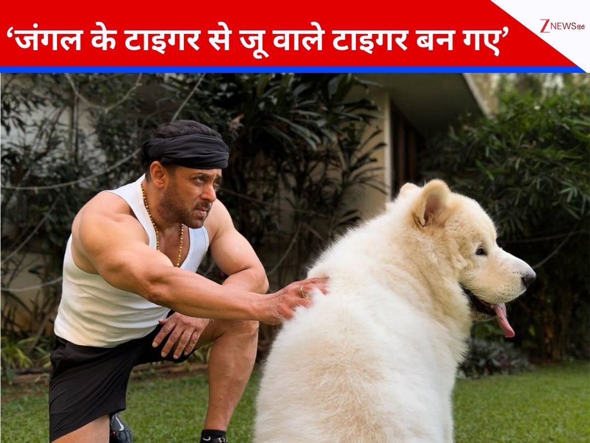सलमान खान जंगल में पैदा हुए टाइगर थे, भाईजान के दोस्त ने दिया ऐसा बयान, बोले- अब चिड़ियाघर वाले… सलमान खान जंगल में पैदा हुए टाइगर थे, भाईजान के दोस्त ने दिया ऐसा बयान, बोले- अब चिड़ियाघर वाले…