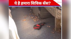 ये है हमारा सिविक सेंस? ट्रेन के अंदर कूड़ा फैलाती महिला कैमरे में कैद, VIDEO देखें