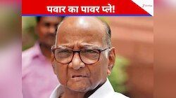 85 की उम्र में फिर गरजा मराठा छत्रप, पवार ने कब-कब दिखाया दम, संकेत- टाइगर जिंदा है?