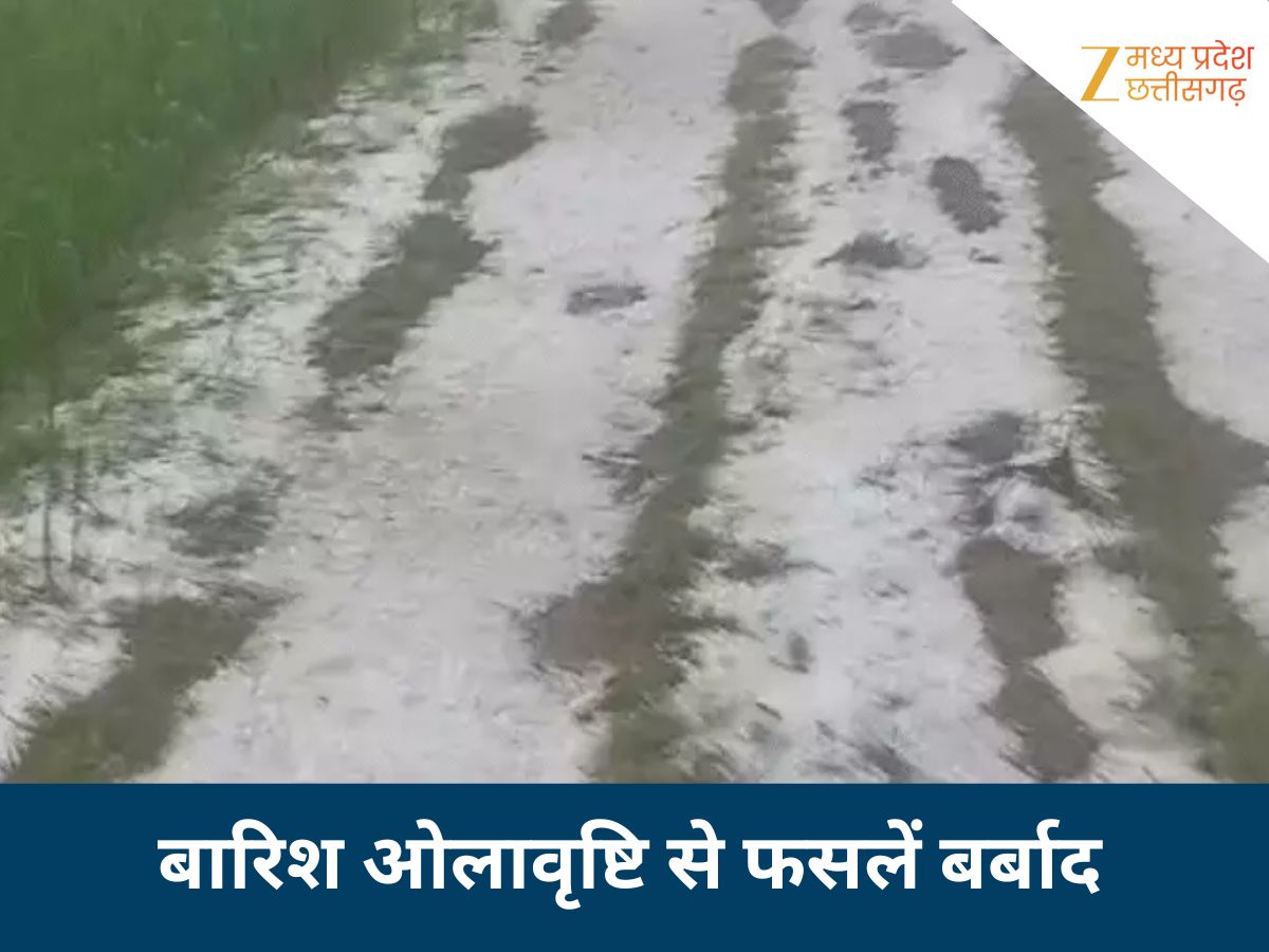 मध्य प्रदेश के कई जिलों में भारी ओलावृष्टि मध्य प्रदेश के कई जिलों में भारी ओलावृष्टि