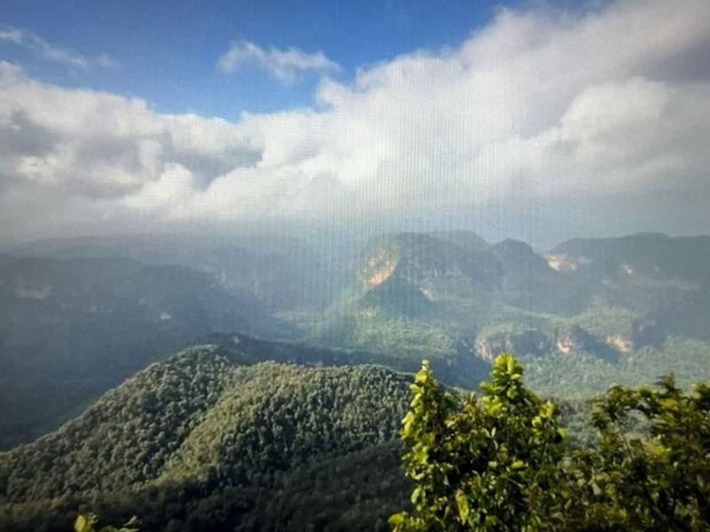 सेफ्टी टिप्स