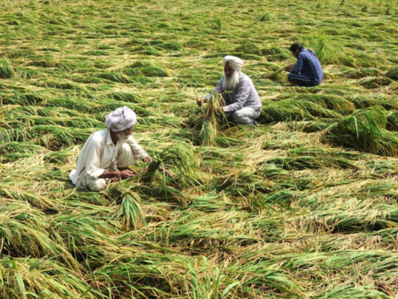 मध्य प्रदेश तीसरे स्थान पर