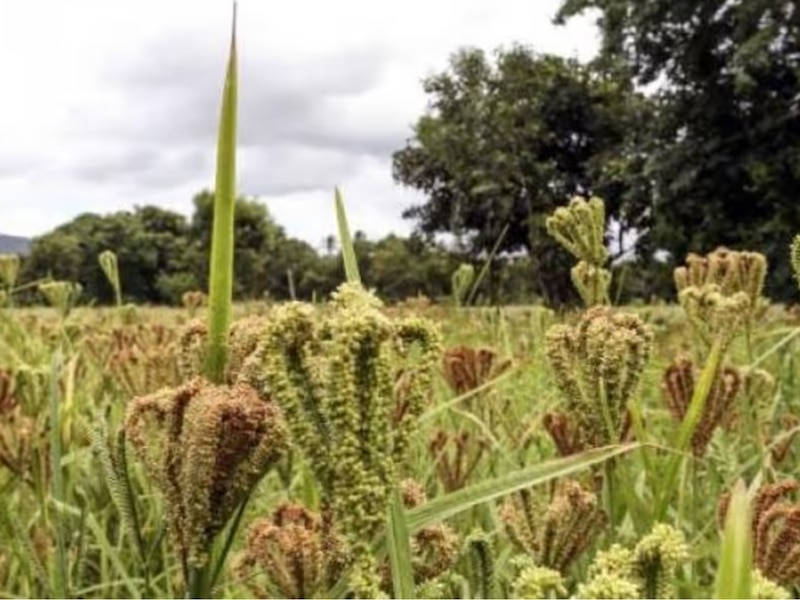 एक नजर आंकड़ों पर