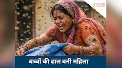 बच्चों को बचाने के लिए मधुमक्खियों से भिड़ीं महिला, खुद झेले हजारों डंक; मौत