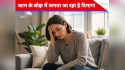 काम के बोझ में जमता जा रहा है दिमाग! Functional Freeze के हो सकते हैं ये लक्षण