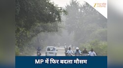 MP में पड़ रही तेज सर्दी, बारिश-कोहरे की ऐसी रहेगी स्थिति, मालवा में तापमान लुढ़का