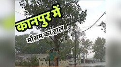 ग्रीन जोन में यूपी के ज्यादातर जिले,कानपुर में सर्द हवाओं से गलन, कोहरे का दौर सिमटा