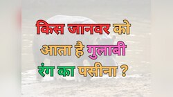 Trending Quiz: किस जानवर का पसीना होता है गुलाबी?