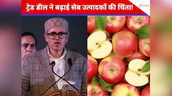 ट्रेड डील ने बढ़ाई सेब उत्पादकों की चिंता, US सेबों की कीमत गिरने पर हो सकता है घाटा