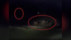 हजारीबाग में हाथियों का तांडव:एक गांव में 6 को कुचला,एक ही परिवार के 4 लोगों की मौत 