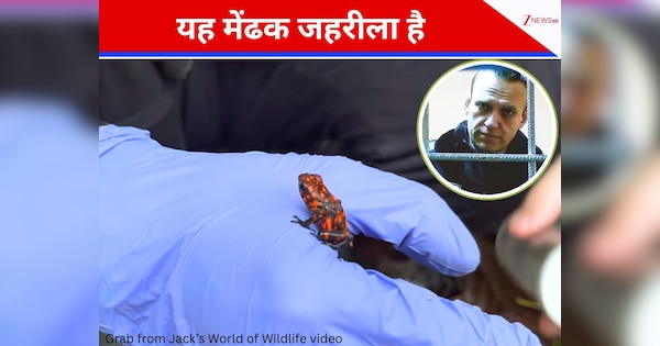 10 मिनट में मौत! ग्लव्स पहनकर ही उस मेंढक को छूना, रूस के विपक्षी नेता की हत्या में सनसनीखेज खुलासा