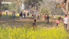 तीन दिन, दो इलाके और एक हाथी: मदनपुर में वन विभाग का हाई अलर्ट