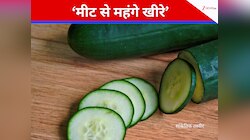 सोना-चांदी नहीं...इस देश में आसमान छू रही खीरे की कीमतें 'मीट' भी छूटा पीछे
