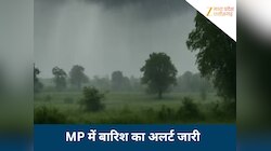 MP में तेजी से बदला मौसम, शनिवार सुबह से तेज बारिश ओलावृष्टि, यहां फसलें हुई खराब