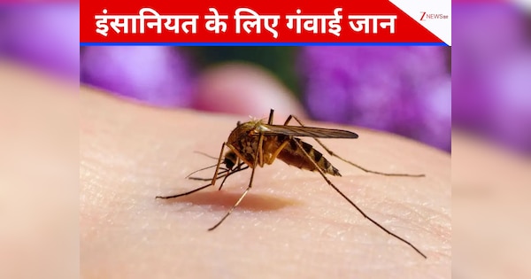 संक्रमित मच्छरों से कटवाया, खतरनाक प्रयोग कर इंसानियत को आपदा से बचाने के लिए दे दी जान