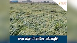MP में फिर बदला मौसम, जबलपुर में बारिश, शिवपुरी में गिरे ओले, 8 जिलों में अलर्ट