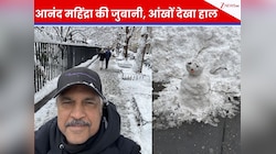 Anand Mahindra ने दिखाई बर्फीले न्यूयॉर्क की असली तस्वीर, लेकिन एक 'छोटू' स्नोमैन ने